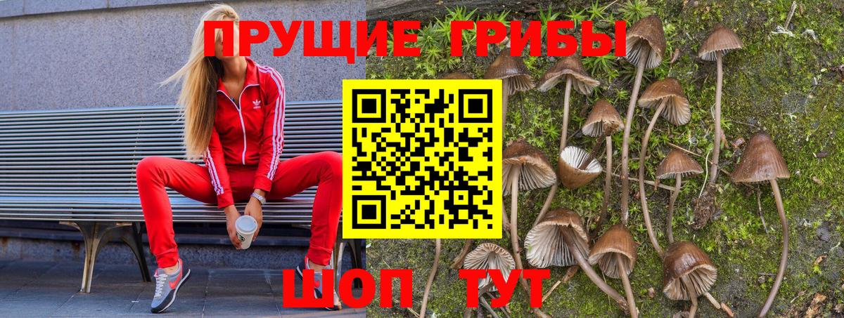 Галлюциногенные грибы ЛСД Россия