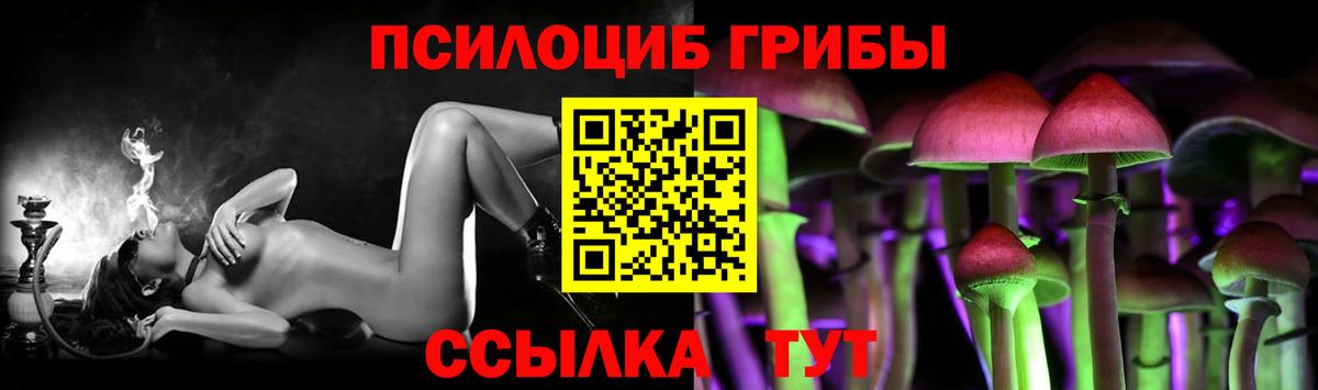 Галлюциногенные грибы Psilocybine cubensis  Вход с VPN  Галлюциногенные грибы мухоморы  Россия 