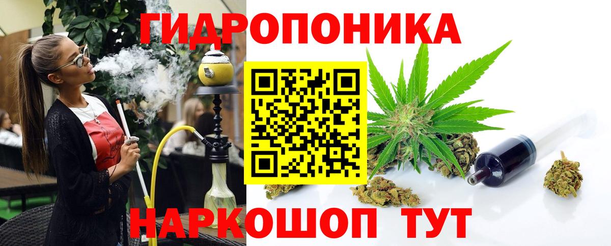 Россия  Каннабис ГИДРОПОН  Вход с VPN  Каннабис тримм  Марихуана SATIVA & INDICA 